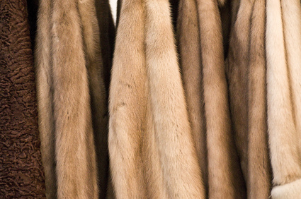 Vrais manteaux de fourrure © INFINITY.