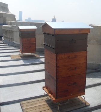 (c) Nicolas Geant : les ruches sur le toit du Grand Palais