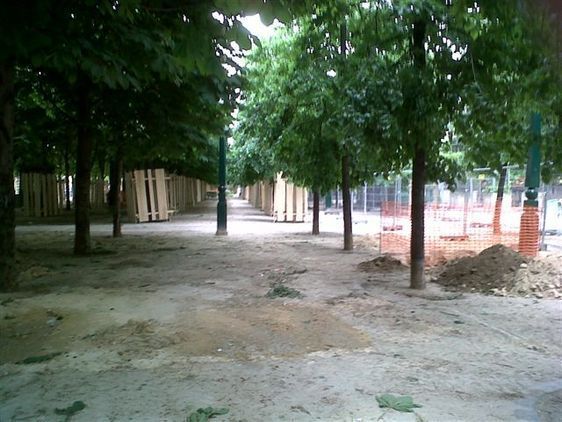 (c) A. Brunetti (18/05/2010) : Les arbres du jardin des Halles