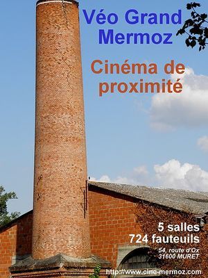 (c) cine-mermoz.com : le projet Veo Grand Mermoz contre le projet Kinopolis en Haute-Garonne