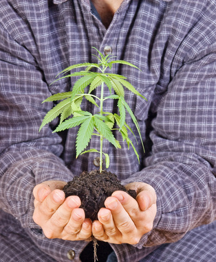 © milkovasa - Fotolia.com © milkovasa - Fotolia.com