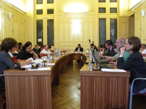 Le conseil du 13e arrondissement, jeudi 30 juin 2011. Photo : Julie Hammett.