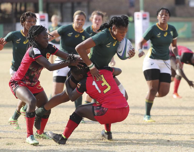 Rugby World Cup African Qualifiers : South Africa defeated Uganda on Friday in Johannesburg during the Rugby Africa Gold Cup © Rugby Africa.
