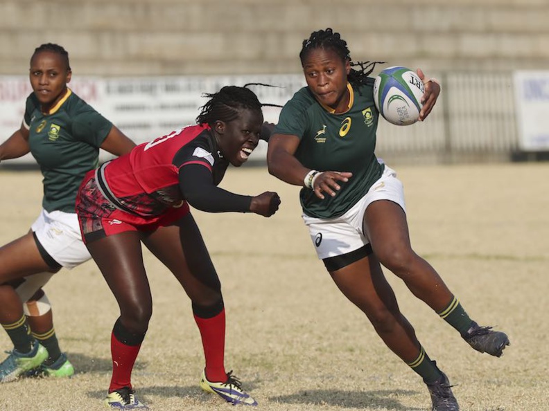 Coupe du Monde de Rugby - Qualifications Africaines : l'Afrique du Sud bat l'Ouganda à Johannesburg lors de la Coupe d'Or d'Afrique de Rugby © Rugby Africa