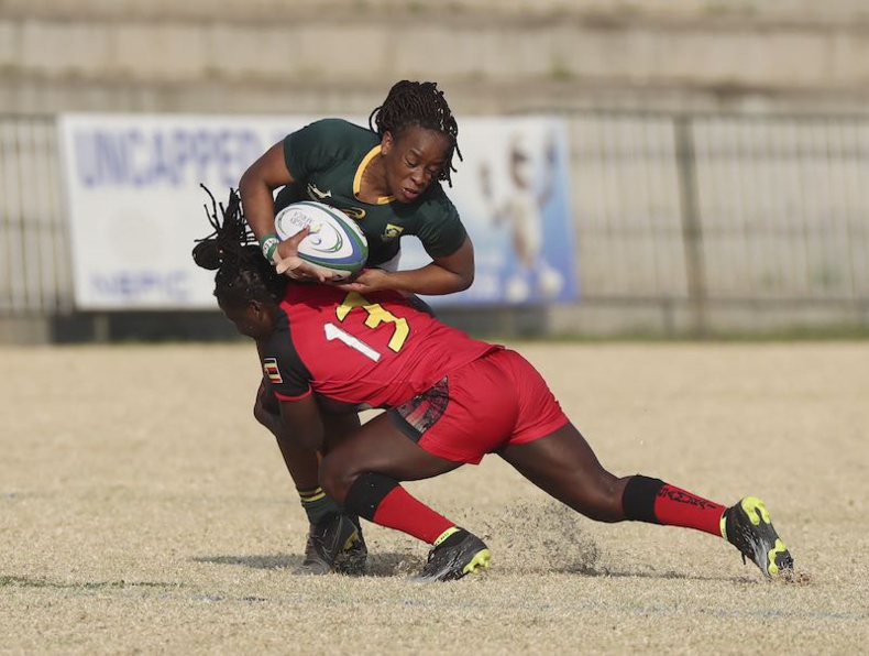 Coupe du Monde de Rugby - Qualifications Africaines : l'Afrique du Sud bat l'Ouganda à Johannesburg lors de la Coupe d'Or d'Afrique de Rugby. © Rugby Africa Coupe du Monde de Rugby - Qualifications Africaines : l'Afrique du Sud bat l'Ouganda à Johannesburg lors de la Coupe d'Or d'Afrique de Rugby. © Rugby Africa