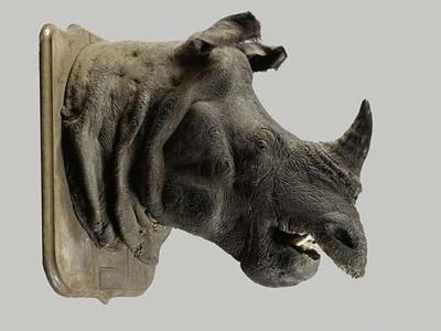 Rhinocéros (c) Etude Chevau Legers.