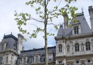 Hôtel de Paris - Photo : Iman NJE.