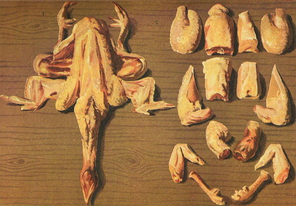 La découpe du poulet (c) Photographie d'une planche en couleur du "Livre de cuisine" de Jules Gouffé (1867) - Egoïté. La découpe du poulet (c) Photographie d'une planche en couleur du "Livre de cuisine" de Jules Gouffé (1867) - Egoïté.
