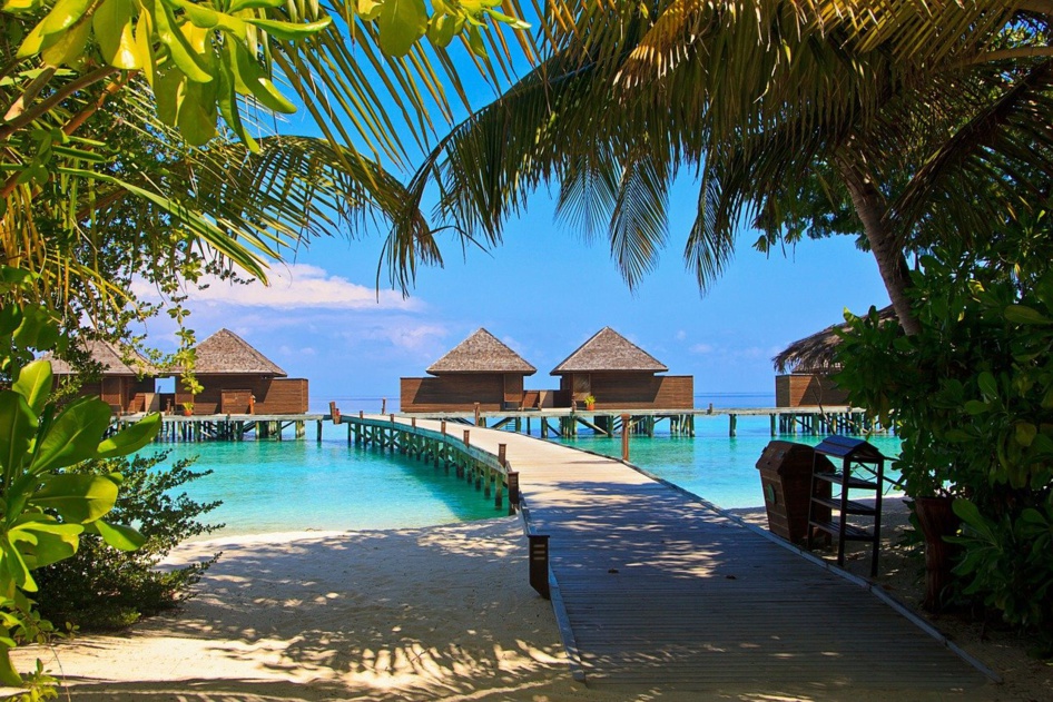 Sur Veligandu Island aux Maldives © SuzyT Sur Veligandu Island aux Maldives © SuzyT