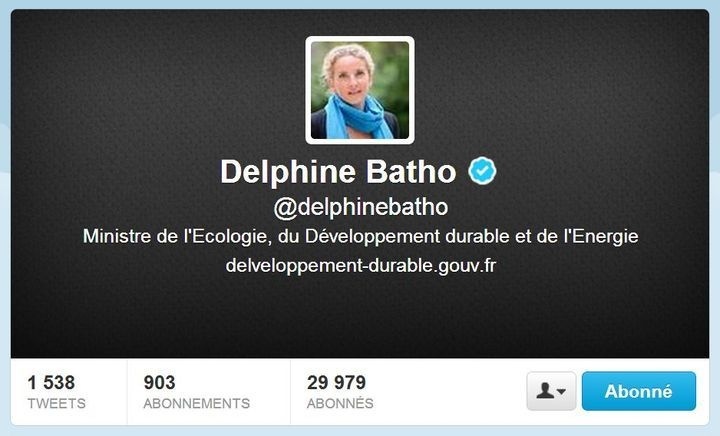 Compte Twitter de Delphine Batho (ministre de l'Ecologie du 21 juin 2012 au 2 juillet 2013) - Capture d'écran © Twitter 2013 le 3 juillet à 12h03.