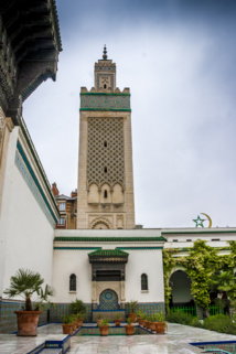 La Grande Mosquée de Paris © jasckal - Fotolia.com