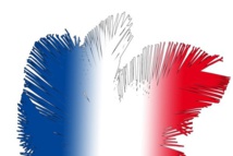 Palmes tricolores © Unclesam - Fotolia.com Palmes tricolores © Unclesam - Fotolia.com