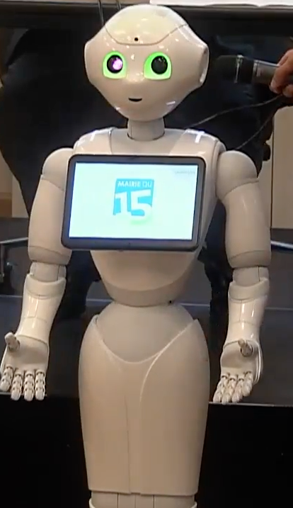 Le robot Pepper accepte une démonstration pendant le conseil du 15e arrondissement © capture d'écran Mairie du 15e