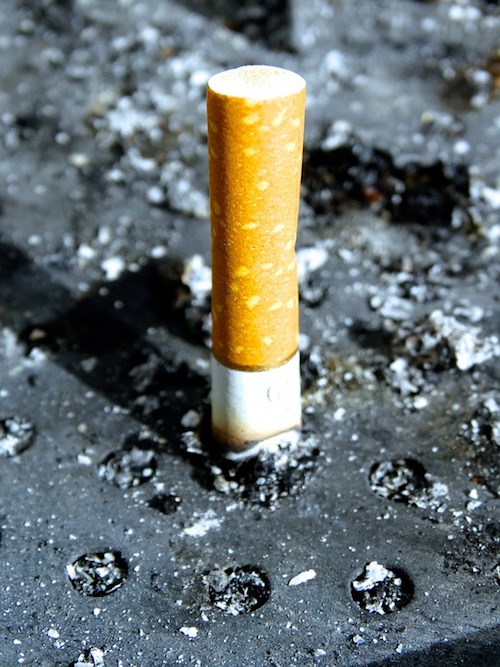 Mégot de cigarette © DR