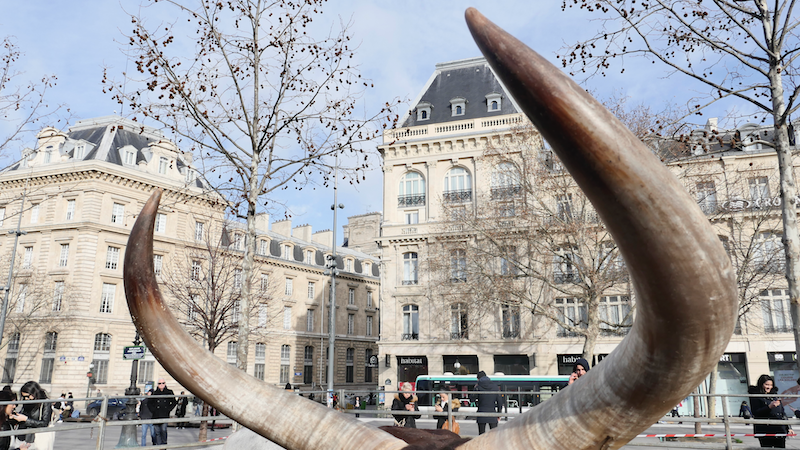 Les cornes d'un animal d'un cirque place de la République à Paris le 17 janvier 2018 © Vaea Devatine