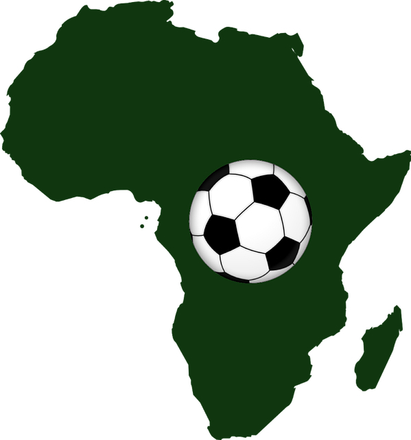 Coupe d'Afrique des Nations : le football africain fait briller l'école française