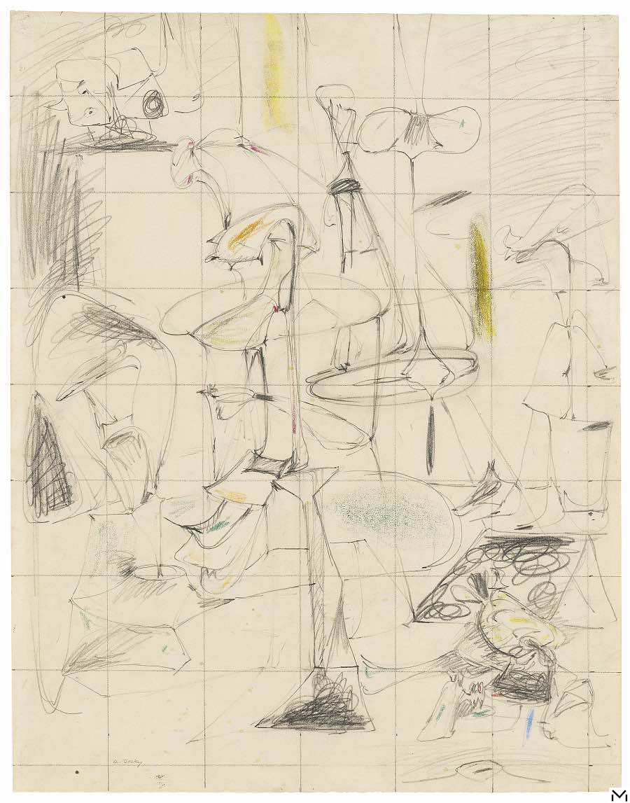 Arshile Gorky, Study for the Bethrotal, 1946-1947, graphite and wax crayon on paper, 61,5x48,6cm, Spencertown, Jack Shear © Elsworth Kelly Studio