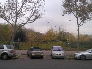 16e arrondissement : Abattage des arbres au stade Hébert - Photo : Agnès Popelin, présidente du Collectif Auteuil Les Princes (CAP).