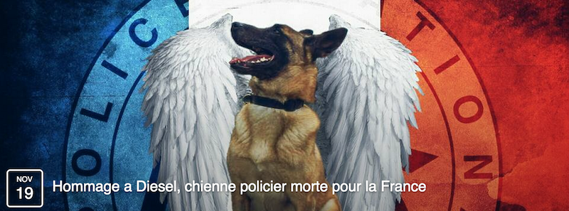 Hommage à Diesel, chienne policier morte pour la France © capture d'écran Je suis Paris - Facebook