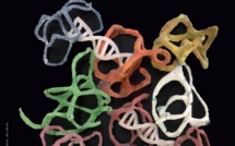 Exposition "Petits Riens" d'Itinéraires-art contemporain 