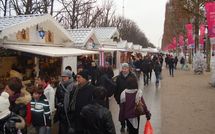 Les délibérations du Conseil de Paris de mars dans le 8ème