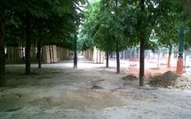 Les arbres maudits du Jardin des Halles