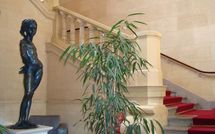 "La mairie du 6e rénovée grâce à l'argent non utilisé des conseils de quartier ?"