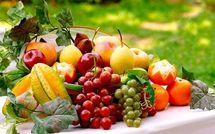 Vente directe de fruits et légumes frais aux consommateurs sur la place de la Bastille