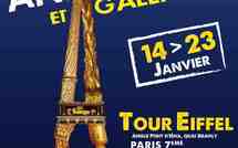 14 - 23 janvier 2011 : Salon des Antiquaires et galeristes de la Tour Eiffel