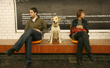 Coup de couteau à la station Place Monge