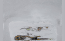 Jusqu'au 5 mai 2011 : Exposition "Etre ou Avoir"