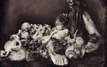 Tous cannibales : une exposition succulente 