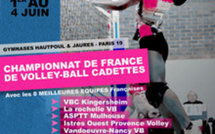Du 1er au 4 juin 2011 : Festi'volley