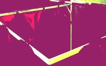 Primaires PS : François Hollande en tête dans le 7e arrondissement