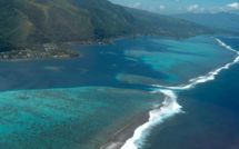 Politique fiction : "L'homme au sourire en tranche de pastèque" Tome 1 dans "Les Rets de Taramea" 