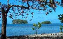 Les aventures de Nini la Petite Souris polynésienne