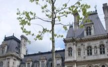 Séance du conseil de Paris : 12 - 13 novembre 2012