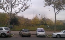 L'abattage des arbres sur le stade Georges Hébert annonce les travaux du CNE