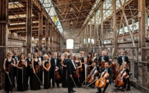 Classical Concert Chamber Orchestra