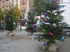 Sapins de Noël rue Sorbier