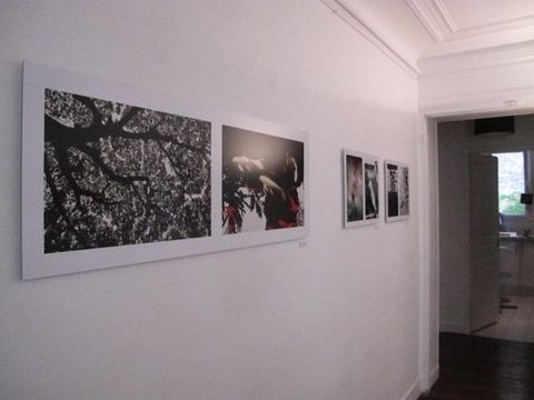 Galerie appartement Mariska Hammoudi Photo Julie Hammett / PT