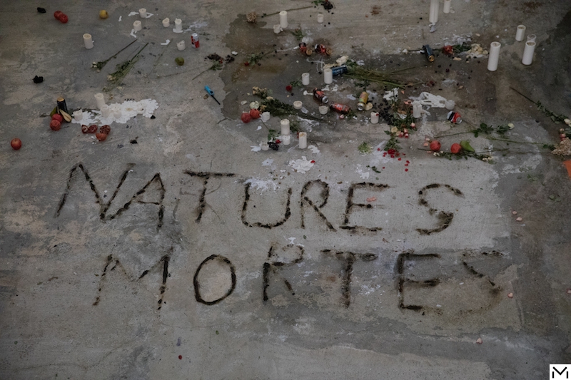Anne Imhof, Natures Mortes, 2021.